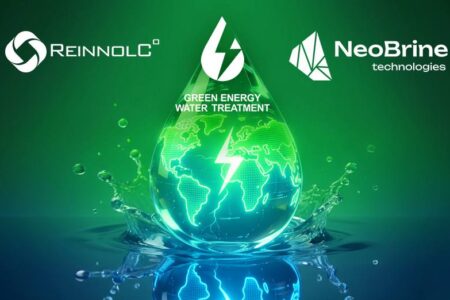 Компания-национальный чемпион 